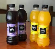 Suco Del Valle